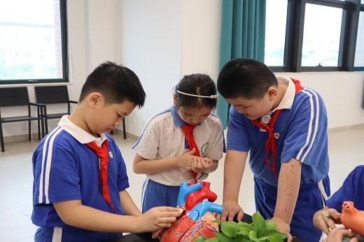 image-20240430081650-10