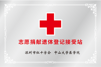 image-20240919185304-1