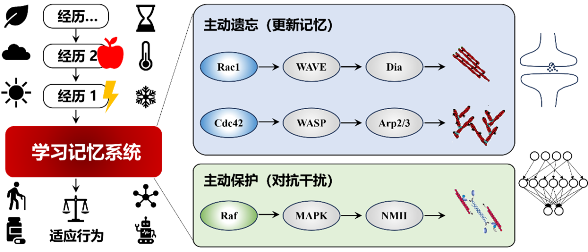 image-20241212115113-1