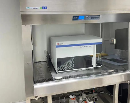 image-20250328093008-4