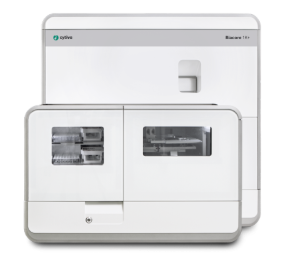 image-20250328093008-8