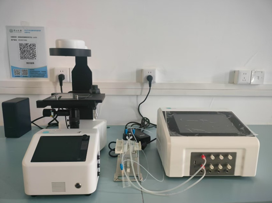 image-20250627111147-3